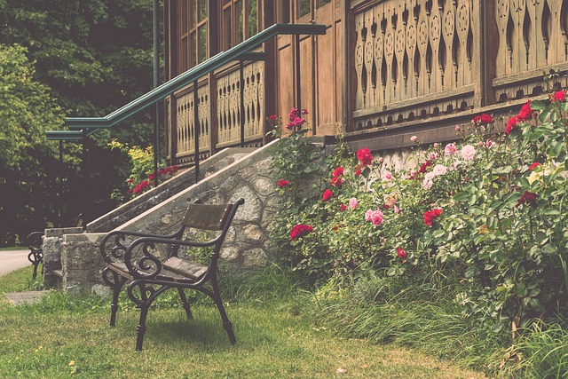 未来展望 未来展望