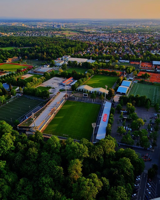 空运动带来 空运动带来