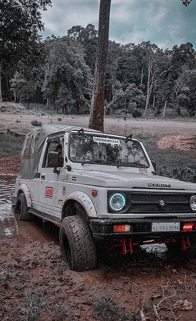 临场应变能 临场应变能