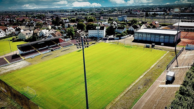 赖新人和其 赖新人和其