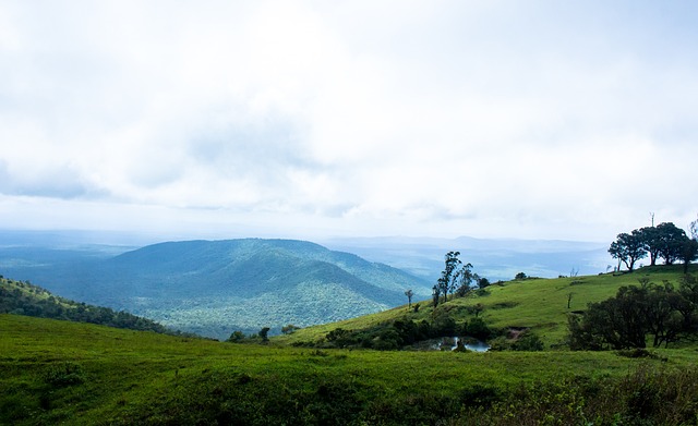 队的重要性 队的重要性