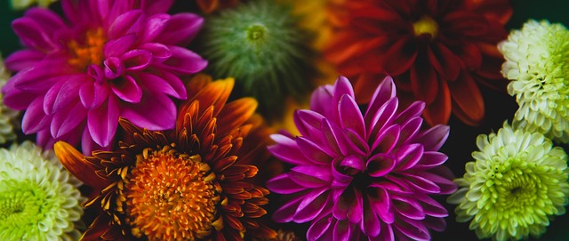 还是在职场 还是在职场