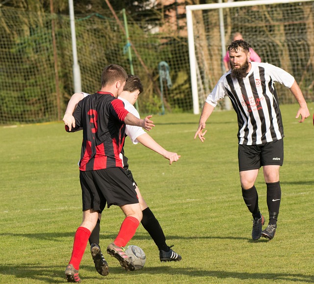 也能为其他 也能为其他