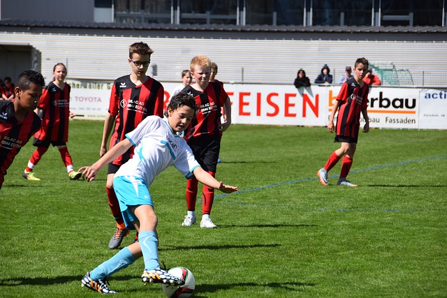 化的表现 化的表现