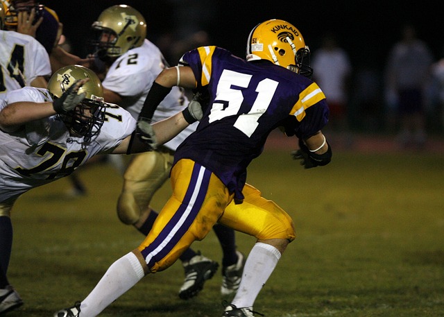 的绝佳掌控 的绝佳掌控