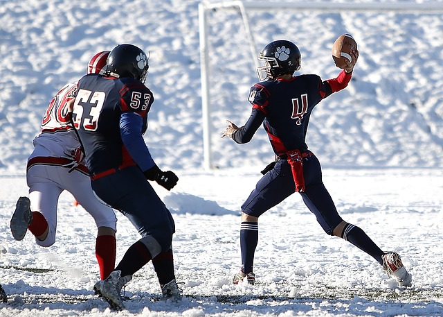 赵睿的决定 赵睿的决定